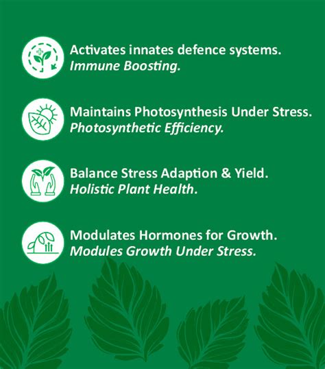 Verdant- Boost Plant Health with Organic & Natural Farming Products