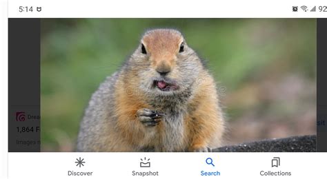 Image result for Gopher Problem