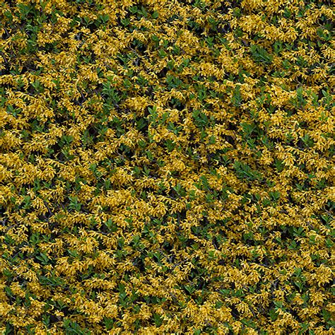 Of Leaves PBR Texture – Seamless Ground Surface Material