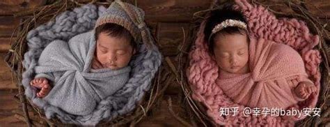 罕见！女子自然受孕诞下两龙两凤四胞胎