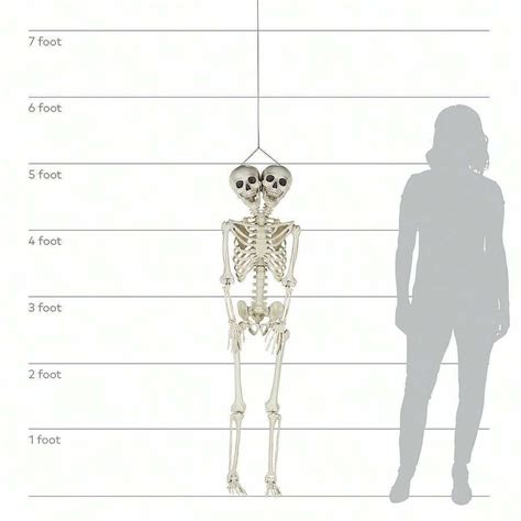Image result for Skeleton Brain Exploding