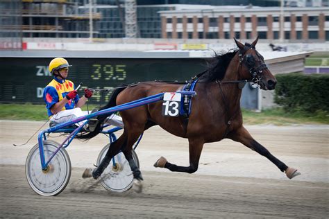 What is a Sulky? Learn all about Sulky Harness Racing!