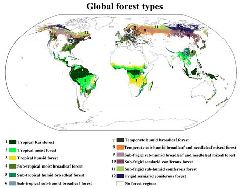 Global Forest Types Based on Climatic and Vegetation Data