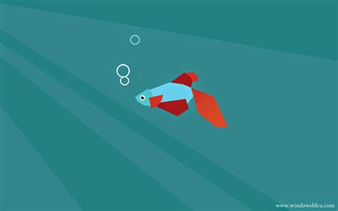 Image result for All Windows Beta