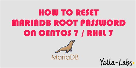 Image result for How to Reset MySQL Password