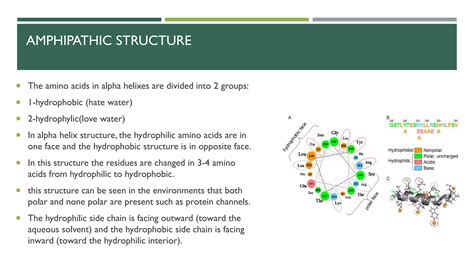 biochemistry-secondary structure of proteins | PDF