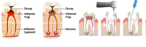 Dentist
