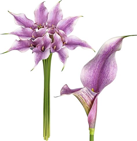 DILATATA Pink Calla Lily Artificial Flowers 29.5 Inch Long India | Ubuy