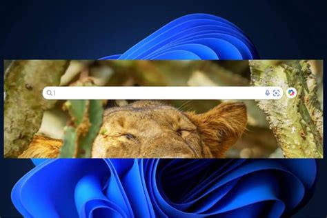 Image result for Bing Web Browser