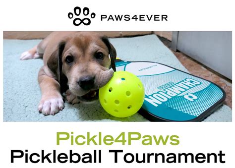 3rd Annual Pickle4Paws in Chapel Hill, Ephesus Church Rd, Chapel Hill ...
