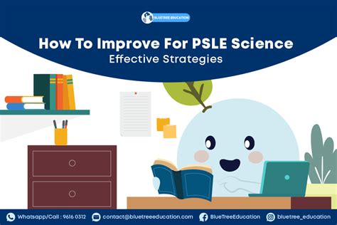Image result for PSLE Science Explained