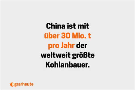 Hätten Sie's gewusst? 25 Fakten über Kohl | agrarheute.com