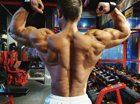 Image result for Dima Muscle Model