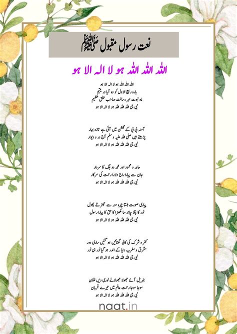 chlamydia naat