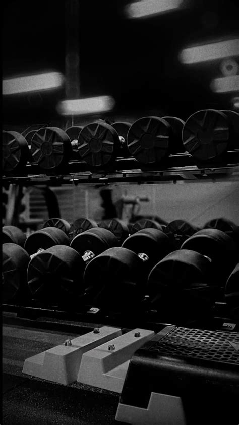 Gym Dark Theme 的图像结果