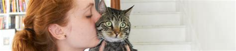How to Keep Your Cat’s Urinary Tract in Tip-top Shape