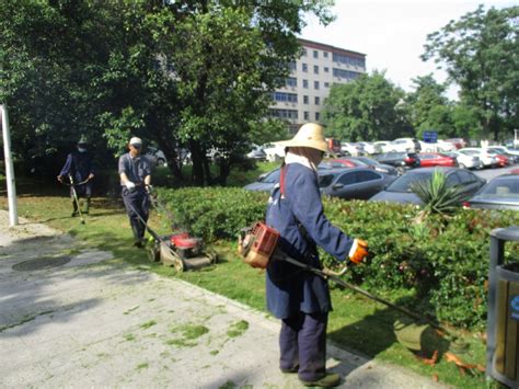 花木社区—广西：园林工人给绿化带植物施冬肥—花木商情网