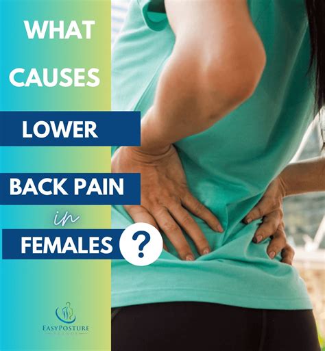 What Causes Lower Back Pain In Females – 10 Home Remedies - Easy Posture Brands