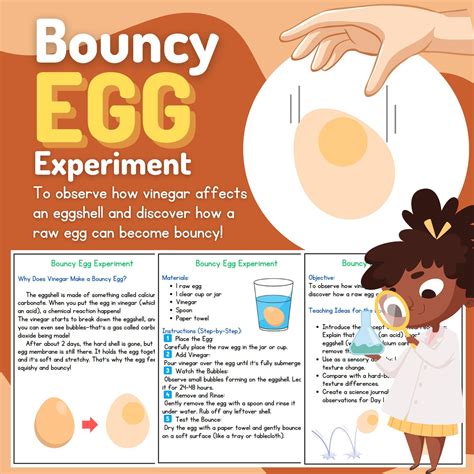 Bouncy Egg Science Experiment for Kids - Etsy UK in 2025 | Science ...