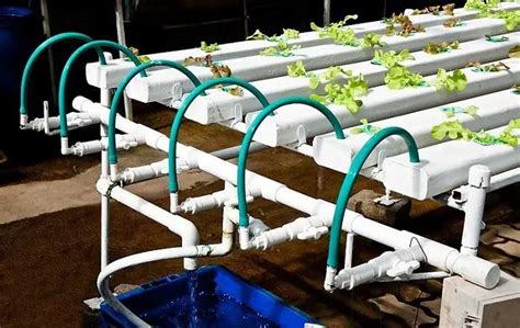 Build a NFT Hydroponic System Using 50Mm PVC 的图像结果