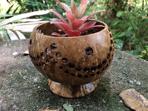 Decorative Items Using Coconut Shell 的图像结果
