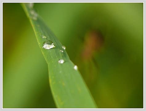 2006 Říjen - Bobův fotoblog