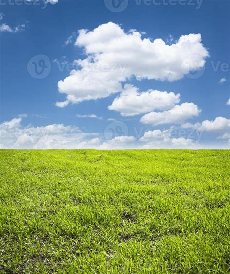 Image result for Spring Landscape