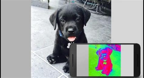 Infrared Camera Software 的图像结果