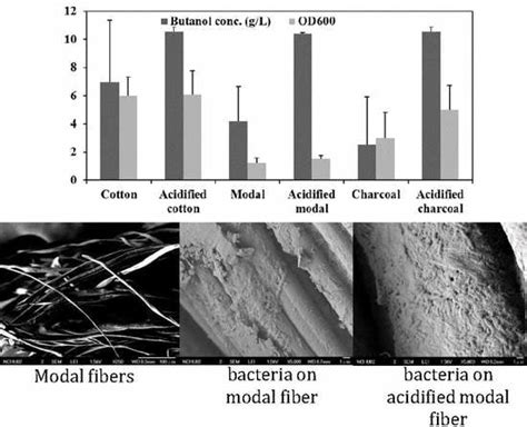 Fermentation | Special Issue : Biofuels and Biochemicals Production