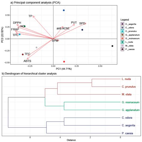 Polyamines in Edible and Medicinal Fungi from Serbia: A Novel ...
