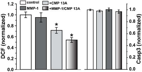 Collagen Mimetic Peptides Promote Adherence and Migration of ARPE-19 ...