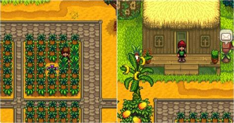 Stardew Valley Ginger Island: Everything About This Tropical Paradise