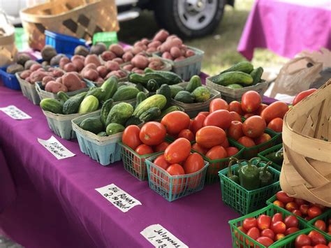 Spring Hill Farmers Market - Hernando Sun