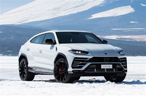 Lamborghini Urus White at Wilhelmina Davis blog