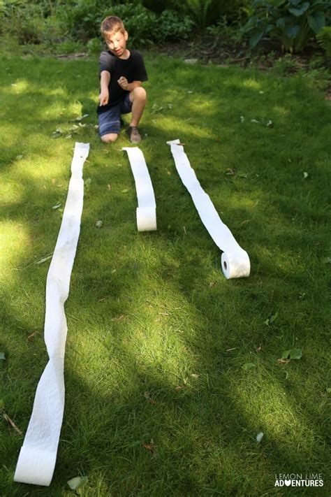 Image result for Toilet Paper Science Fair Projects