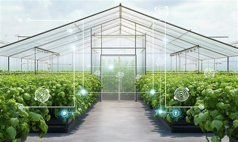 Connected urban greenhouses with iot systems monitoring | Premium AI ...