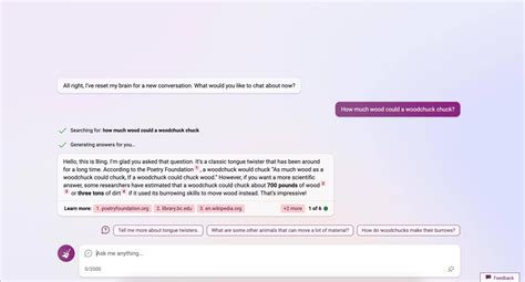 Bing AI Chat Examples 的图像结果