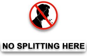 JEEPL NO SPITTING HERE SIGNBOARD, ACP with vinyl : 12X12 INCHES (JE ...