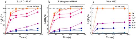 Local Electric Field-Incorporated In-Situ Copper Ions Eliminating Pathogens and Antibiotic ...