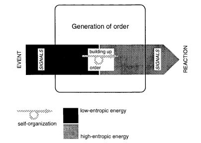 Image result for Complex Science