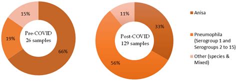 The Contribution of Legionella anisa to Legionella Contamination of ...
