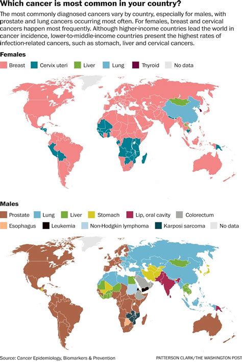 Most common cancer in your country - Vivid Maps