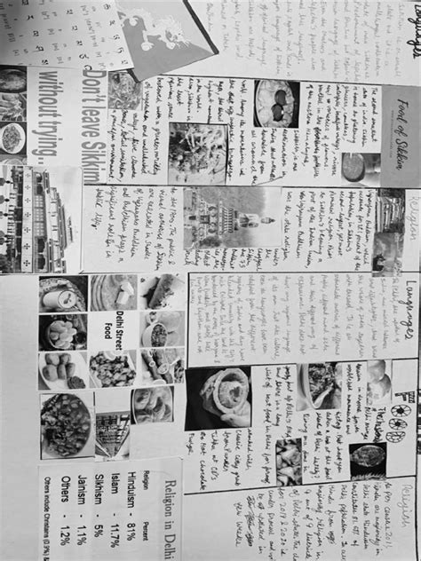 Image result for Class 10 Social Asthetic Notes