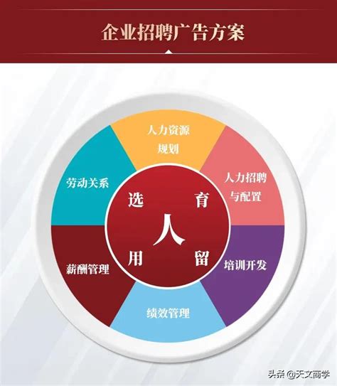 上海泛微为什么大量招人（上海泛微）_华夏智能网