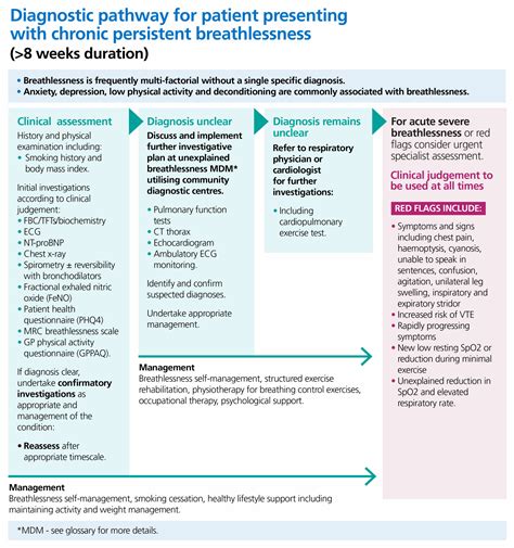 NHS England » Adult breathlessness pathway (pre-diagnosis): diagnostic ...