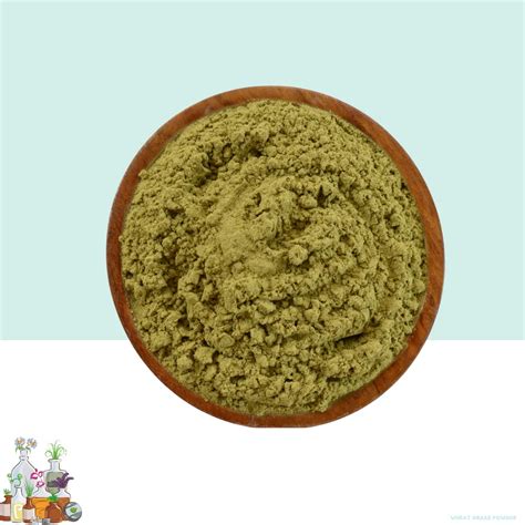 WheatGrass Powder – Madurasherbals