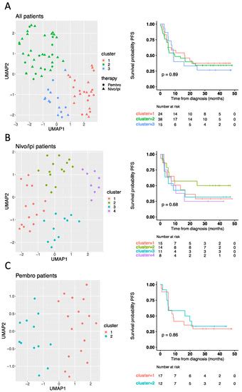 Cancers | Special Issue : Immunotherapy in Melanoma: Recent Advances ...