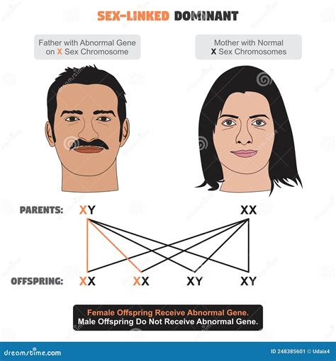 Incomplete Dominance Infographic Diagram With Example Of Antirrhinum ...