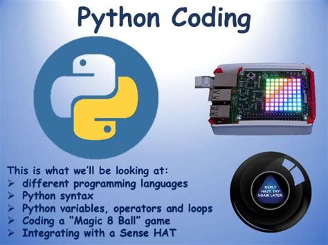 Image result for Python Coding Meaning