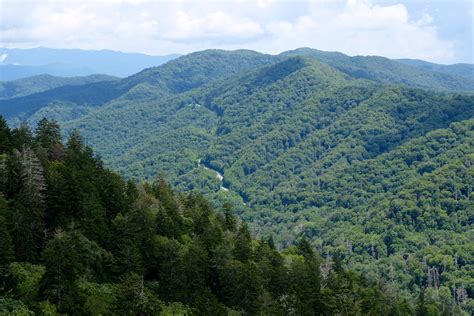 Newfound Gap Tn Weather